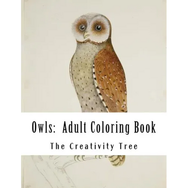 Owls: Adult Coloring Book