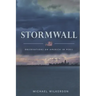 Stormwall: Observations on America in Peril