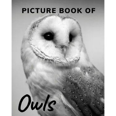 Picture Book of Owls: The Picture Book for Alzheimer's Patients and Seniors with Dementia.