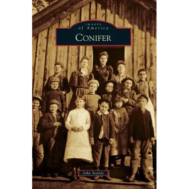Conifer