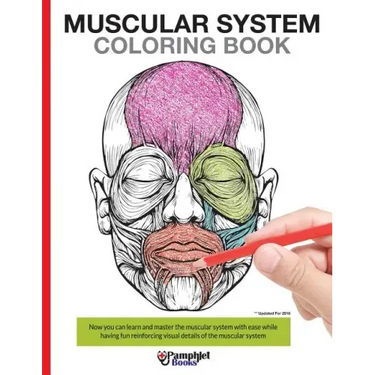 Muscular System Coloring Book: Now you can learn and master the muscular system with ease while having fun