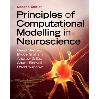 Principles of Computational Modelling in Neuroscience