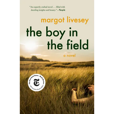 The Boy in the Field