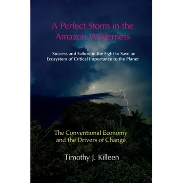 A Perfect Storm in the Amazon. Volume 1: The Conventional Economy and the Drivers of Change