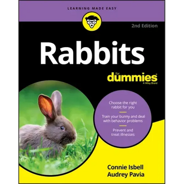 Rabbits for Dummies