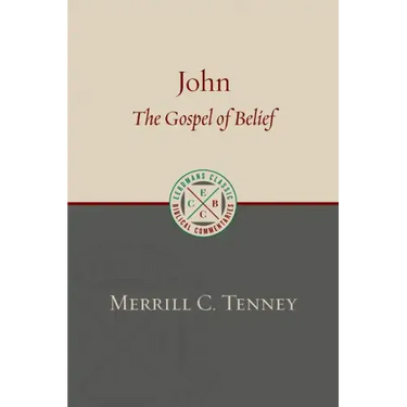 John: The Gospel of Belief: An Analytic Study of the Text