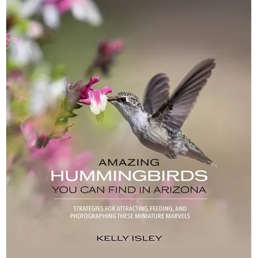 Amazing Hummingbirds You Can Find in Arizona: Strategies for attracting, feeding, and photographing these miniature marvels