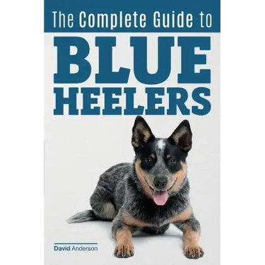 The Complete Guide to Blue Heelers - aka The Australian Cattle Dog. Learn About Breeders, Finding a Puppy, Training, Socialization, Nutrition, Groomin