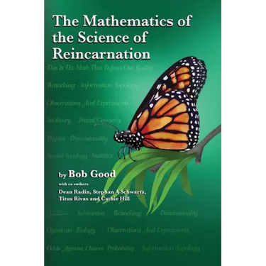 The Mathematics of the Science of Reincarnation: The Matrix of Consciousness
