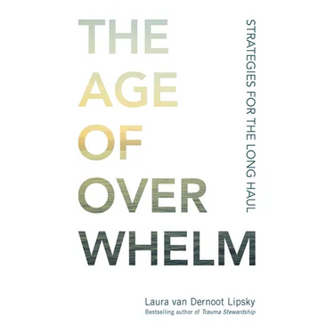 The Age of Overwhelm: Strategies for the Long Haul