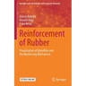 Reinforcement of Rubber: Visualization of Nanofiller and the Reinforcing Mechanism
