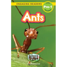 Ants: Backyard Bugs and Creepy-Crawlies (Engaging Readers, Level Pre-1)