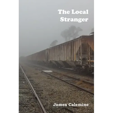 The Local Stranger: Short Stories