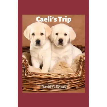 Caeli's Trip