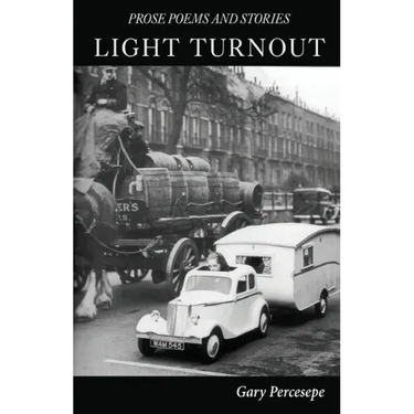 Light Turnout: Prose Poems and Stories