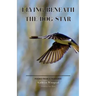 Flying Beneath the Dog Star: Poems from a Pandemic