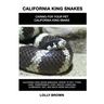 California King Snakes: California King Snake breeding, where to buy, types, care, temperament, cost, health, handling, husbandry, diet, and m