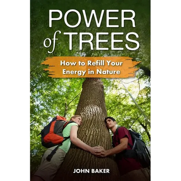 Power of Trees: How to Refill Your Energy in Nature
