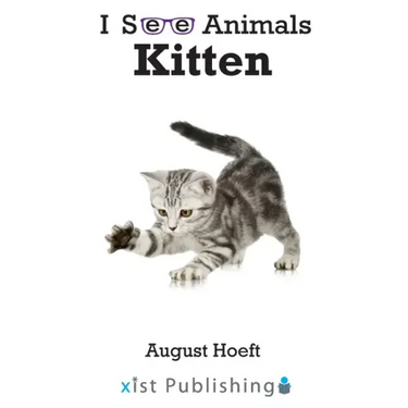 Kitten