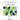 A First Course in Algebraic Geometry and Algebraic Varieties