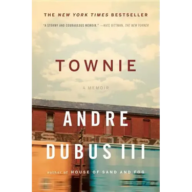 Townie: A Memoir