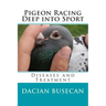 Pigeon Racing " Deep into Sport ": Diseases and Treatment