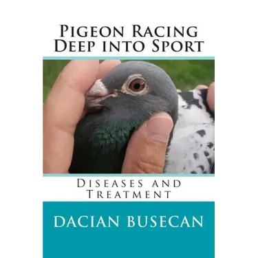 Pigeon Racing " Deep into Sport ": Diseases and Treatment
