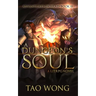 A Dungeon's Soul: Book 3 of the Adventures on Brad