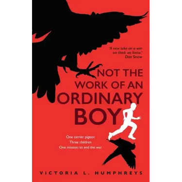 Not the Work of an Ordinary Boy