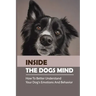 Inside The Dogs Mind: How To Better Understand Your Dog's Emotions And Behavior: What Are Dog Senses