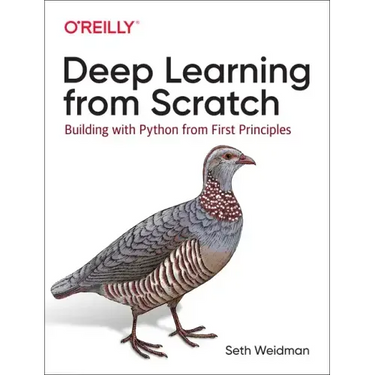 Deep Learning from Scratch: Building with Python from First Principles