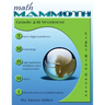Math Mammoth Grade 2-B Worktext