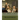 Poor white; a novel. By: Sherwood Anderson: It is the story of an inventor, Hugh McVey, who rises from poverty on the bank of the Mississippi R