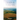 Triumph in Transition