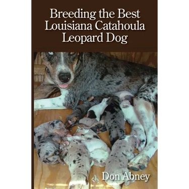 Breeding the Best Louisiana Catahoula Leopard Dog