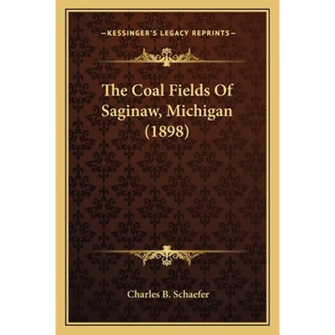 The Coal Fields Of Saginaw, Michigan (1898)
