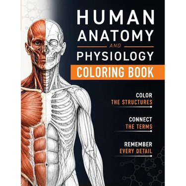 Human Anatomy and Physiology Coloring Book: A Visual Guide to the Structures and Systems of the Human Body