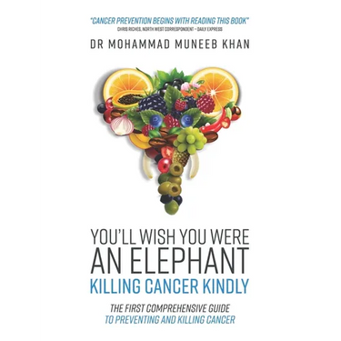 You'll Wish You Were an Elephant: Killing Cancer Kindly