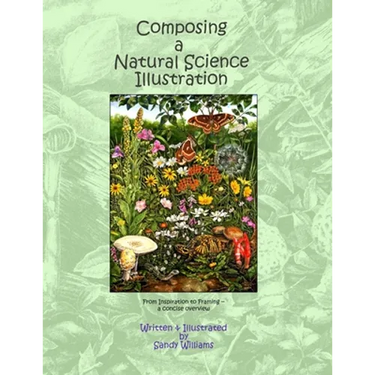 Composing a Natural Science Illustration: From Inspiration to Framing