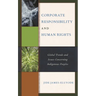 Corporate Responsibility and Human Rights: Global Trends and Issues Concerning Indigenous Peoples