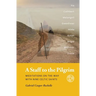 A Staff to the Pilgrim: Meditations on the Way with Nine Celtic Saints