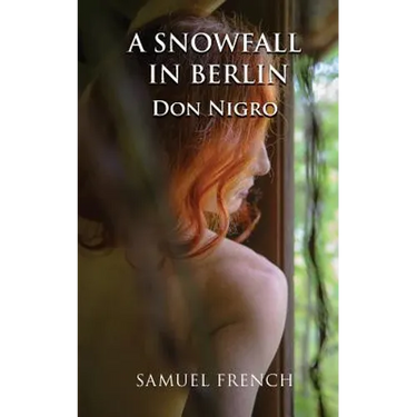 A Snowfall in Berlin