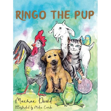 Ringo The Pup