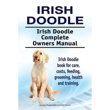 Irish Doodle. Irish Doodle Complete Owners Manual. Irish Doodle book for care, costs, feeding, grooming, health and training.
