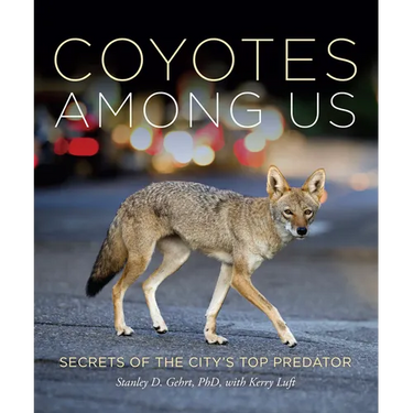 Coyotes Among Us: Secrets of the City's Top Predator