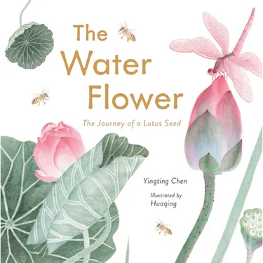 The Water Flower: The Journey of a Lotus Seed