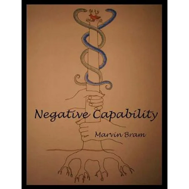 Negative Capability
