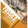 Fossils: Secrets to Earth's History Fossil Guide Geology for Teens Interactive Science Grade 8 Children's Earth Sciences Books