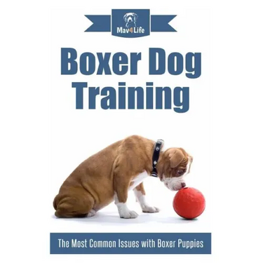 Boxer Dog Training: The Most Common Issues with Boxer Puppies