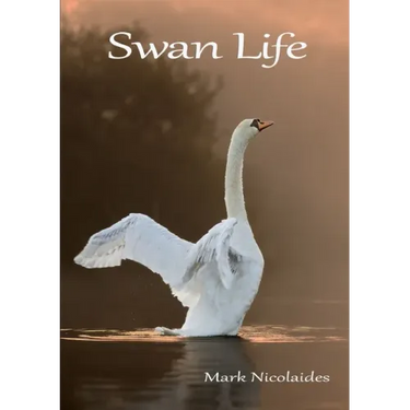 Swan Life